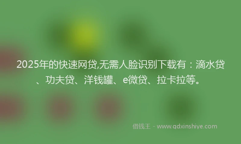 2025年的快速网贷,无需人脸识别下载有：滴水贷、功夫贷、洋钱罐、e微贷、拉卡拉等。