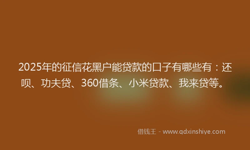 2025年的征信花黑户能贷款的口子有哪些有：还呗、功夫贷、360借条、小米贷款、我来贷等。