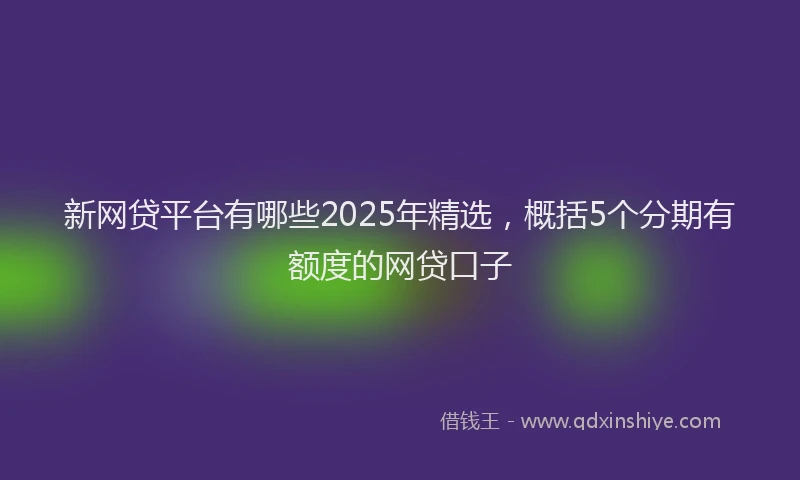 新网贷平台有哪些2025年精选，概括5个分期有额度的网贷口子