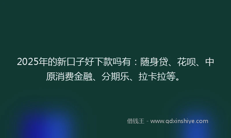 2025年的新口子好下款吗有：随身贷、花呗、中原消费金融、分期乐、拉卡拉等。