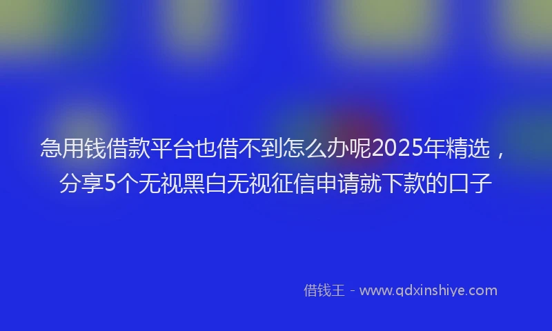 急用钱借款平台也借不到怎么办呢2025年精选，分享5个无视黑白无视征信申请就下款的口子