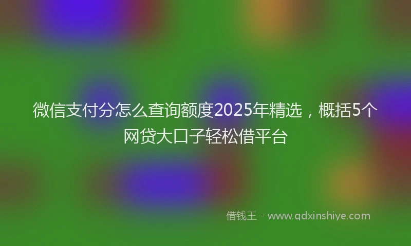 微信支付分怎么查询额度2025年精选，概括5个网贷大口子轻松借平台