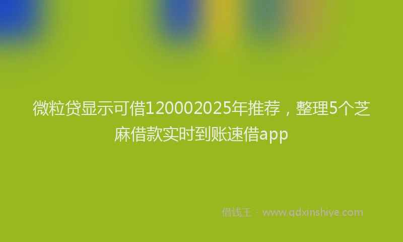 微粒贷显示可借120002025年推荐，整理5个芝麻借款实时到账速借app