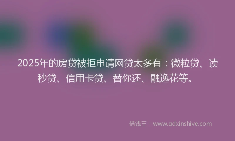 2025年的房贷被拒申请网贷太多有：微粒贷、读秒贷、信用卡贷、替你还、融逸花等。