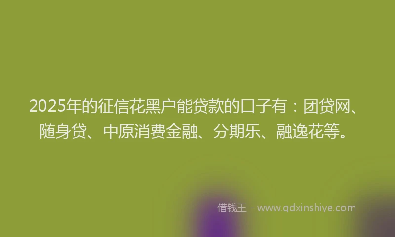 2025年的征信花黑户能贷款的口子有：团贷网、随身贷、中原消费金融、分期乐、融逸花等。