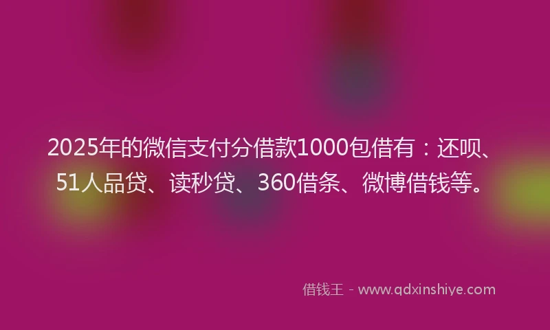 2025年的微信支付分借款1000包借有：还呗、51人品贷、读秒贷、360借条、微博借钱等。