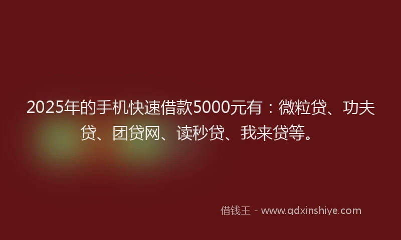 2025年的手机快速借款5000元有：微粒贷、功夫贷、团贷网、读秒贷、我来贷等。