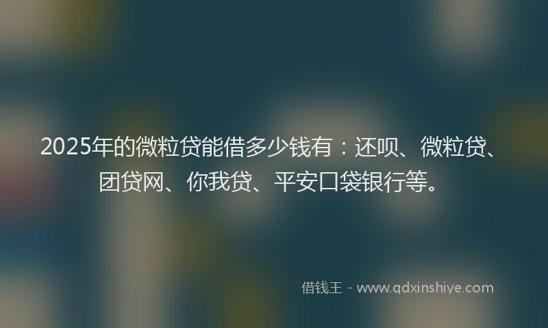 2025年的微粒贷能借多少钱有：还呗、微粒贷、团贷网、你我贷、平安口袋银行等。