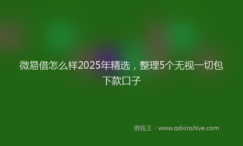 微易借怎么样2025年精选，整理5个无视一切包下款口子