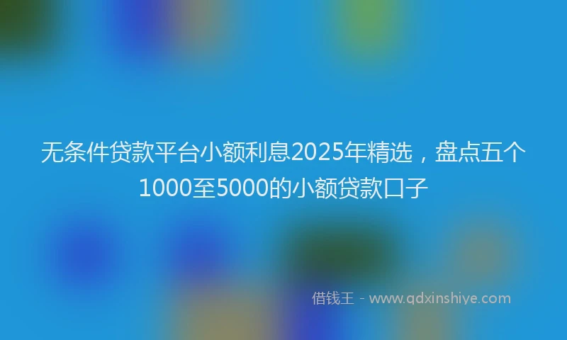 无条件贷款平台小额利息2025年精选，盘点五个1000至5000的小额贷款口子