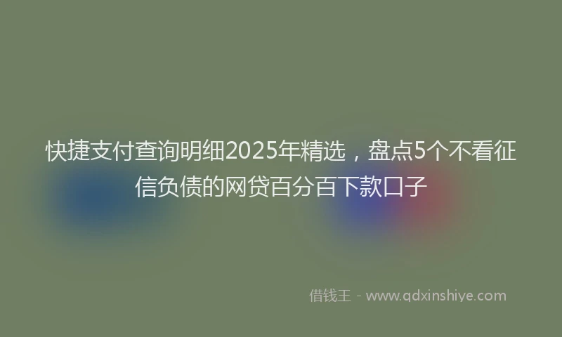 快捷支付查询明细2025年精选，盘点5个不看征信负债的网贷百分百下款口子