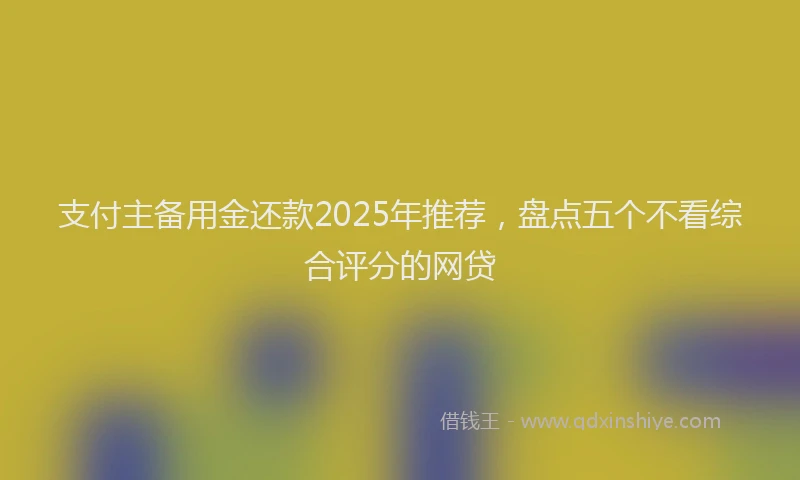 支付主备用金还款2025年推荐，盘点五个不看综合评分的网贷
