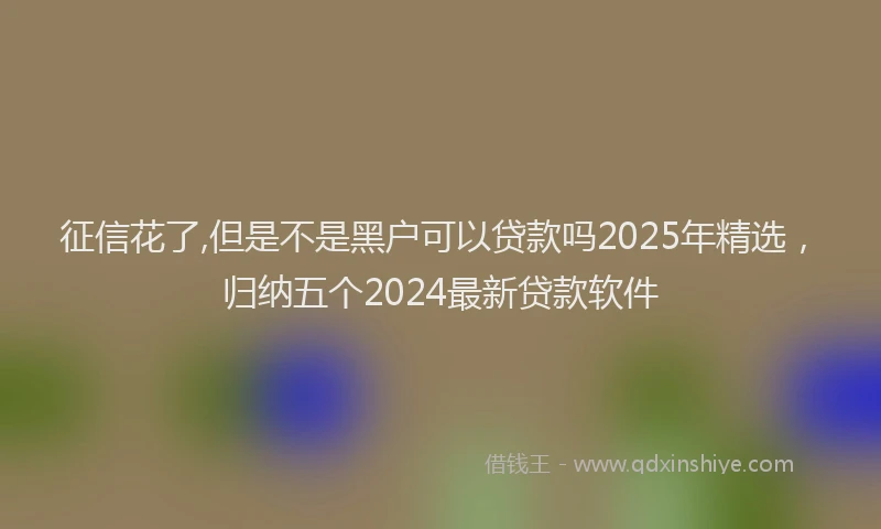 征信花了,但是不是黑户可以贷款吗2025年精选，归纳五个2024最新贷款软件
