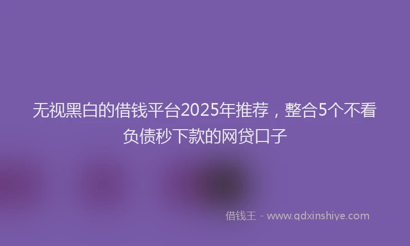 无视黑白的借钱平台2025年推荐，整合5个不看负债秒下款的网贷口子