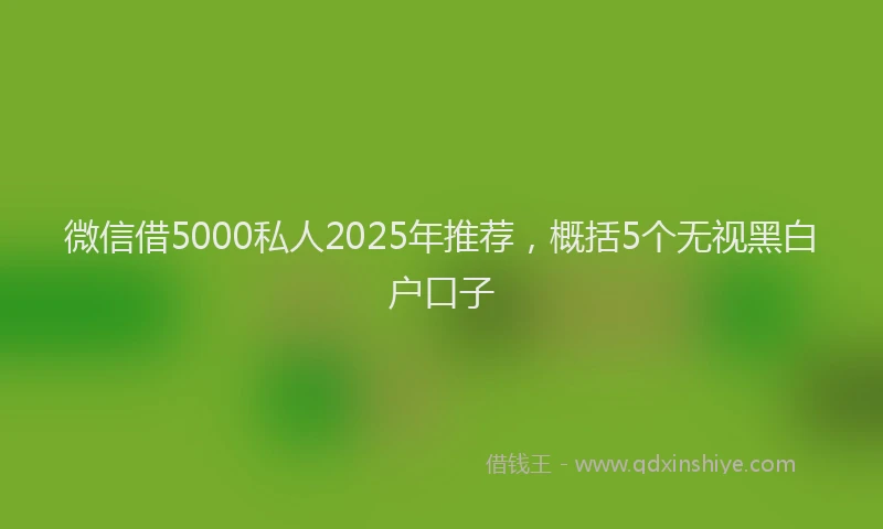 微信借5000私人2025年推荐，概括5个无视黑白户口子