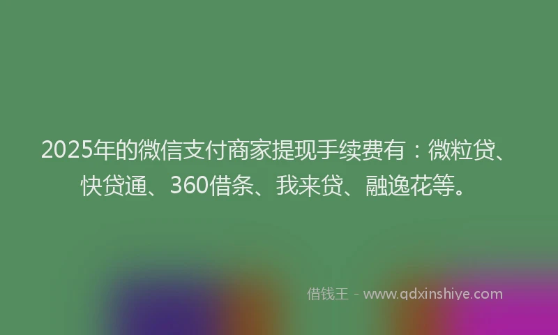 2025年的微信支付商家提现手续费有：微粒贷、快贷通、360借条、我来贷、融逸花等。