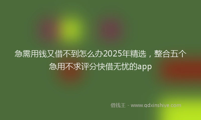 急需用钱又借不到怎么办2025年精选，整合五个急用不求评分快借无忧的app