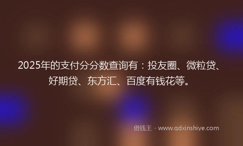 2025年的支付分分数查询有：投友圈、微粒贷、好期贷、东方汇、百度有钱花等。