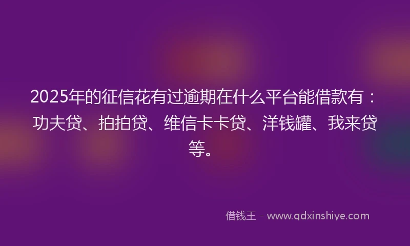 2025年的征信花有过逾期在什么平台能借款有：功夫贷、拍拍贷、维信卡卡贷、洋钱罐、我来贷等。