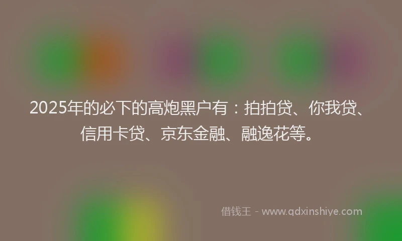 2025年的必下的高炮黑户有：拍拍贷、你我贷、信用卡贷、京东金融、融逸花等。