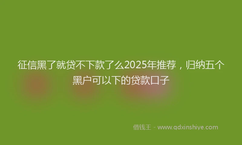 征信黑了就贷不下款了么2025年推荐，归纳五个黑户可以下的贷款口子
