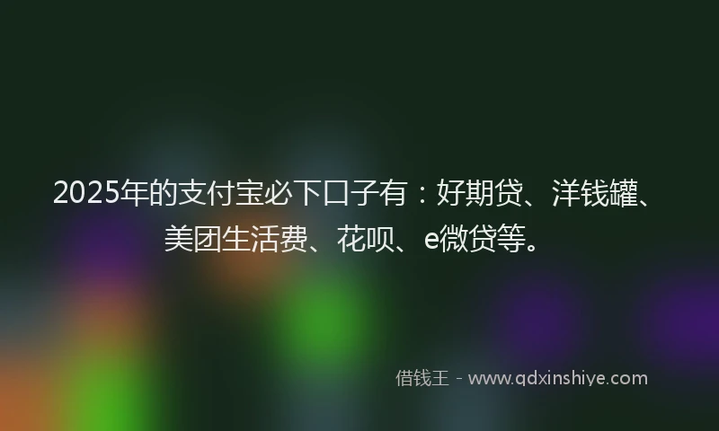 2025年的支付宝必下口子有：好期贷、洋钱罐、美团生活费、花呗、e微贷等。