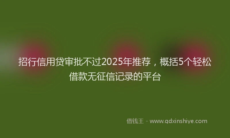 招行信用贷审批不过2025年推荐，概括5个轻松借款无征信记录的平台