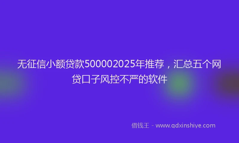 无征信小额贷款500002025年推荐，汇总五个网贷口子风控不严的软件