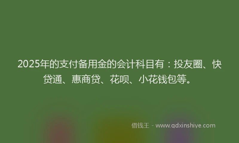 2025年的支付备用金的会计科目有：投友圈、快贷通、惠商贷、花呗、小花钱包等。