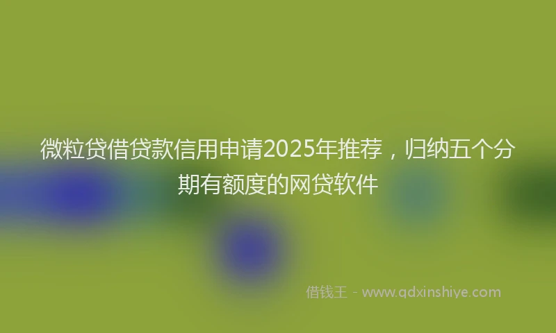 微粒贷借贷款信用申请2025年推荐，归纳五个分期有额度的网贷软件