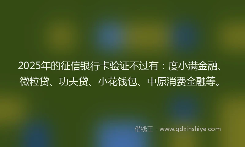 2025年的征信银行卡验证不过有：度小满金融、微粒贷、功夫贷、小花钱包、中原消费金融等。