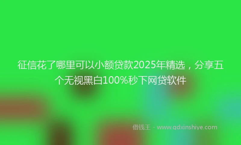 征信花了哪里可以小额贷款2025年精选，分享五个无视黑白100%秒下网贷软件