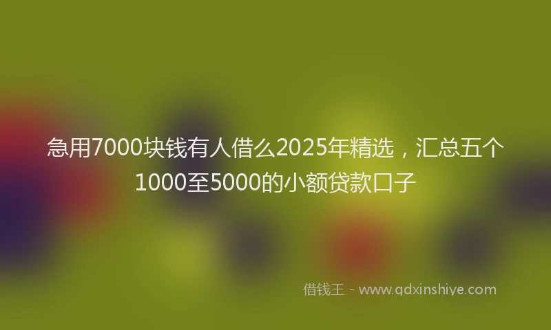 急用7000块钱有人借么2025年精选，汇总五个1000至5000的小额贷款口子