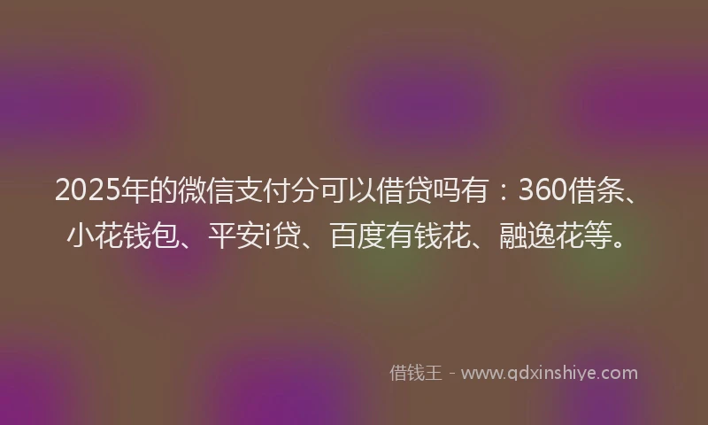 2025年的微信支付分可以借贷吗有：360借条、小花钱包、平安i贷、百度有钱花、融逸花等。