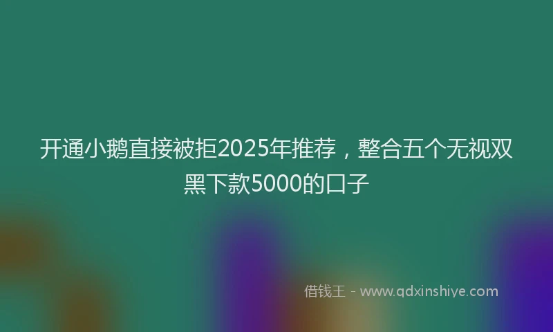 开通小鹅直接被拒2025年推荐，整合五个无视双黑下款5000的口子