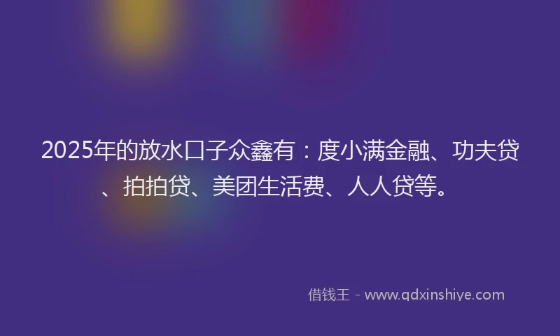 2025年的放水口子众鑫有：度小满金融、功夫贷、拍拍贷、美团生活费、人人贷等。