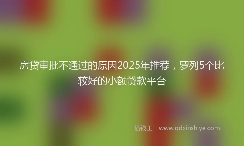 房贷审批不通过的原因2025年推荐，罗列5个比较好的小额贷款平台