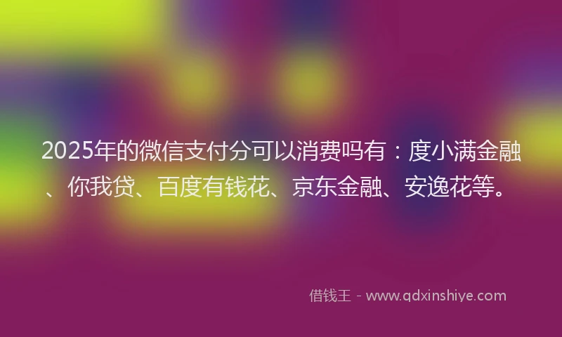 2025年的微信支付分可以消费吗有：度小满金融、你我贷、百度有钱花、京东金融、安逸花等。