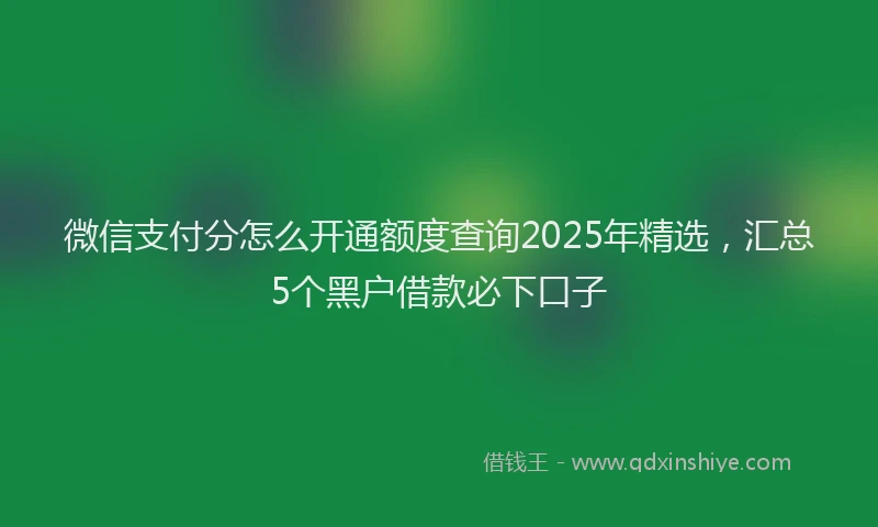 微信支付分怎么开通额度查询2025年精选，汇总5个黑户借款必下口子
