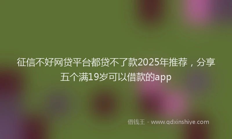 征信不好网贷平台都贷不了款2025年推荐，分享五个满19岁可以借款的app