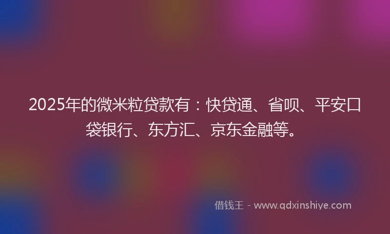 2025年的微米粒贷款有：快贷通、省呗、平安口袋银行、东方汇、京东金融等。