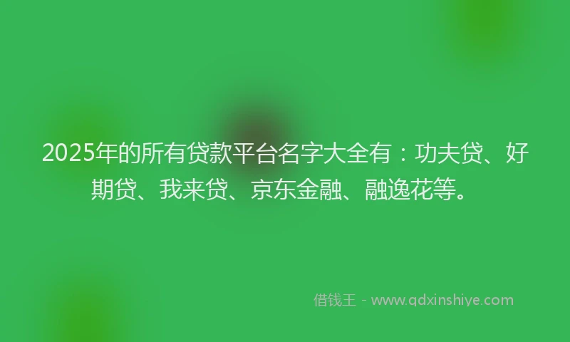 2025年的所有贷款平台名字大全有：功夫贷、好期贷、我来贷、京东金融、融逸花等。
