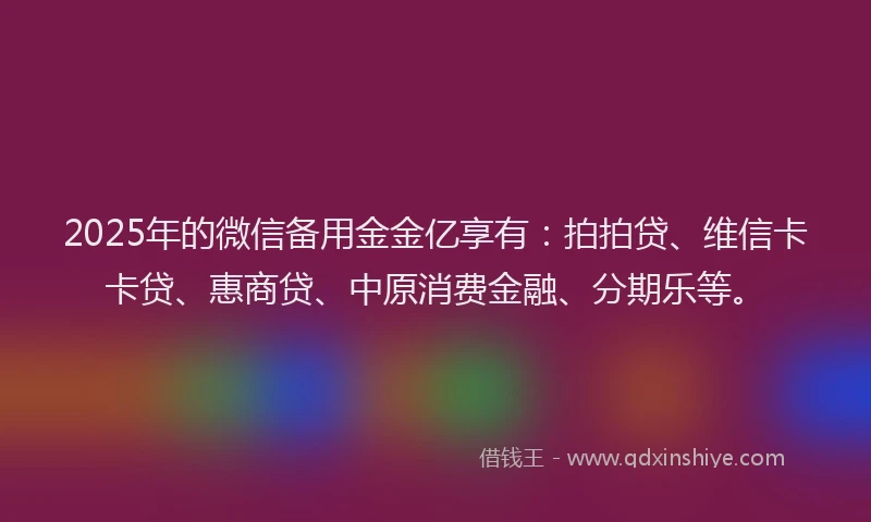 2025年的微信备用金金亿享有：拍拍贷、维信卡卡贷、惠商贷、中原消费金融、分期乐等。
