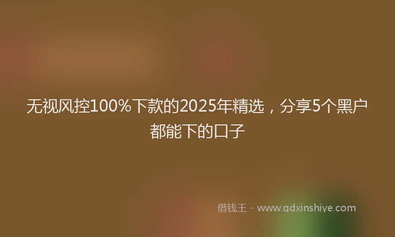 无视风控100%下款的2025年精选，分享5个黑户都能下的口子