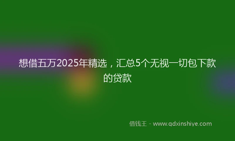 想借五万2025年精选，汇总5个无视一切包下款的贷款