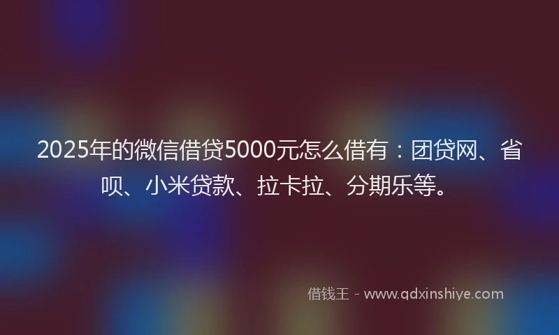 2025年的微信借贷5000元怎么借有：团贷网、省呗、小米贷款、拉卡拉、分期乐等。