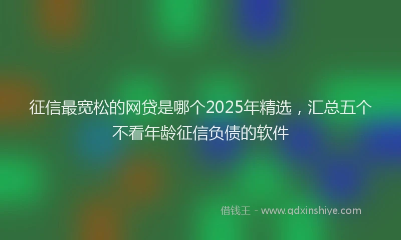 征信最宽松的网贷是哪个2025年精选，汇总五个不看年龄征信负债的软件