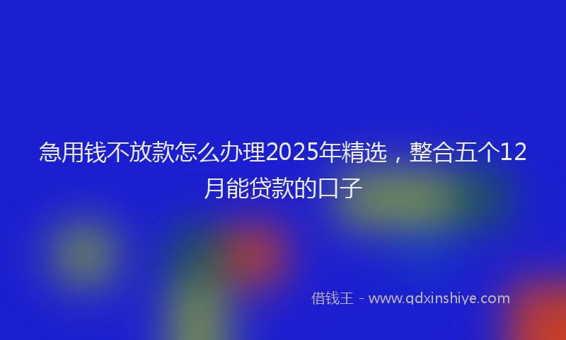 急用钱不放款怎么办理2025年精选，整合五个12月能贷款的口子