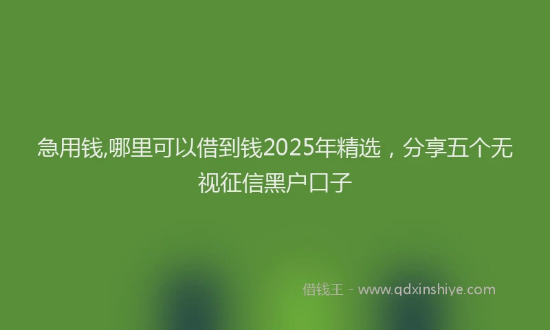 急用钱,哪里可以借到钱2025年精选，分享五个无视征信黑户口子