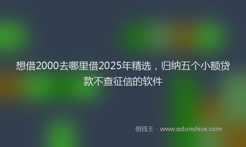 想借2000去哪里借2025年精选，归纳五个小额贷款不查征信的软件